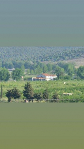 Residence Dayet Aoua